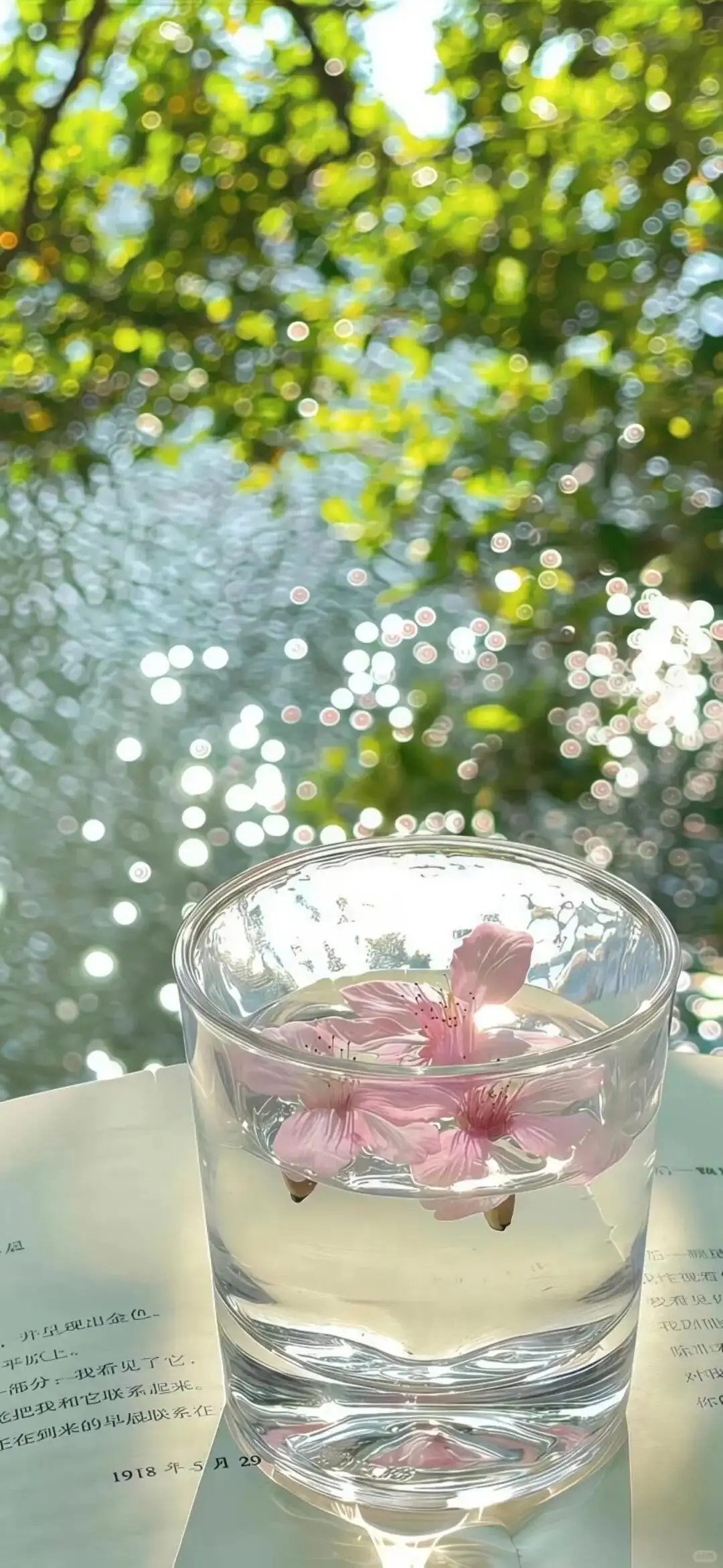 新手机来了？教你如何设置iOS 26裸眼3D壁纸