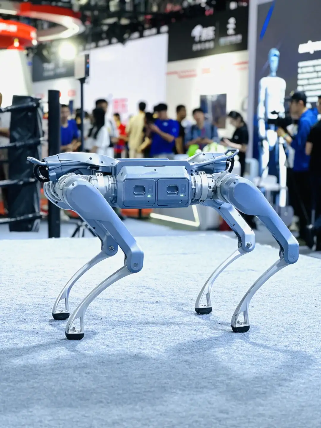 2025世界机器人大会，看这篇就够了❗️