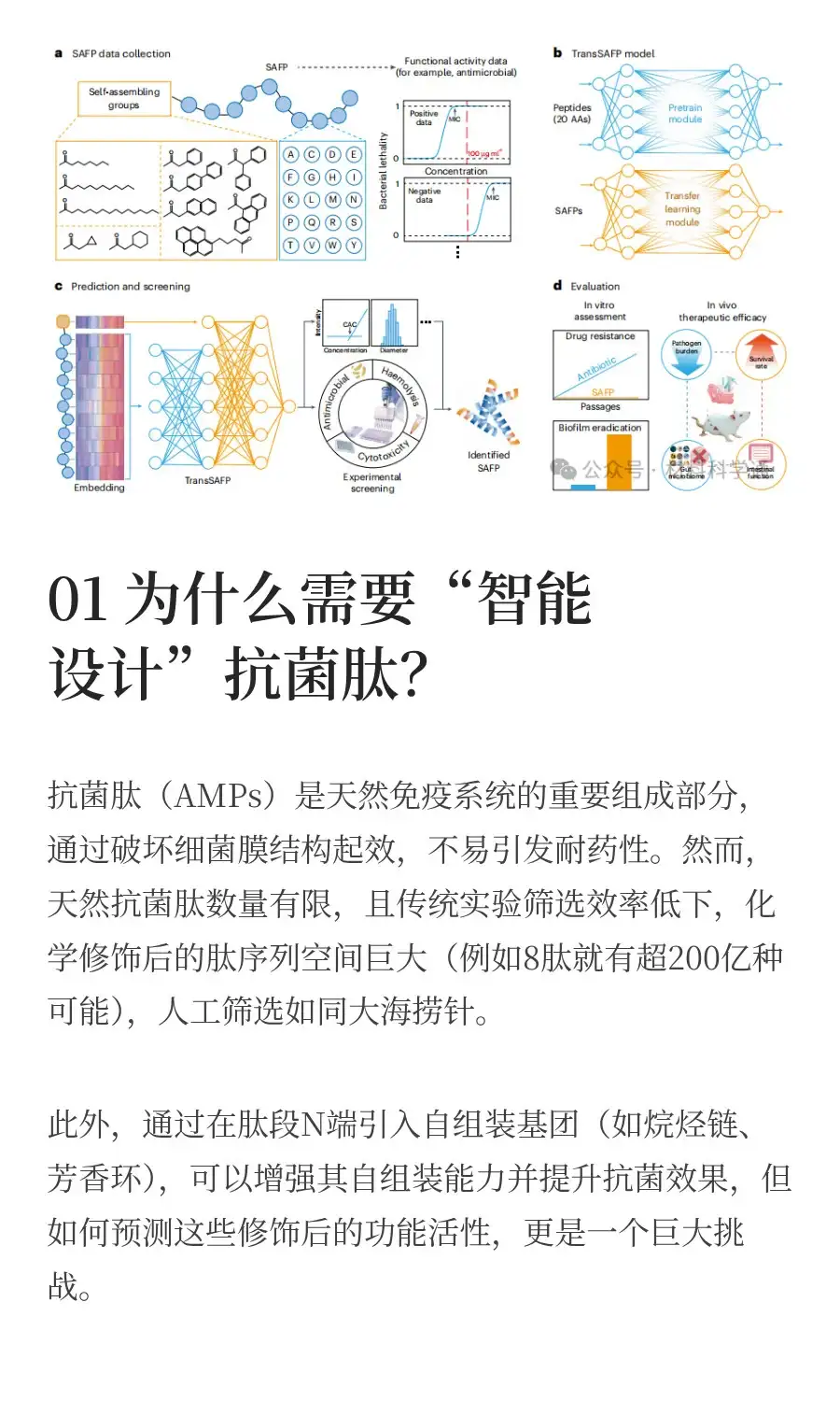 西湖大学 看AI如何助力化学分子设计
