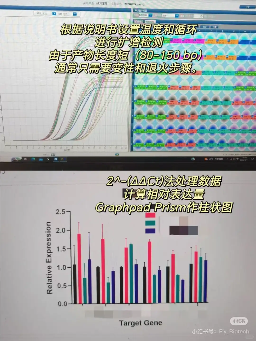 分子生物学第八篇：如何设计荧光定量引物！