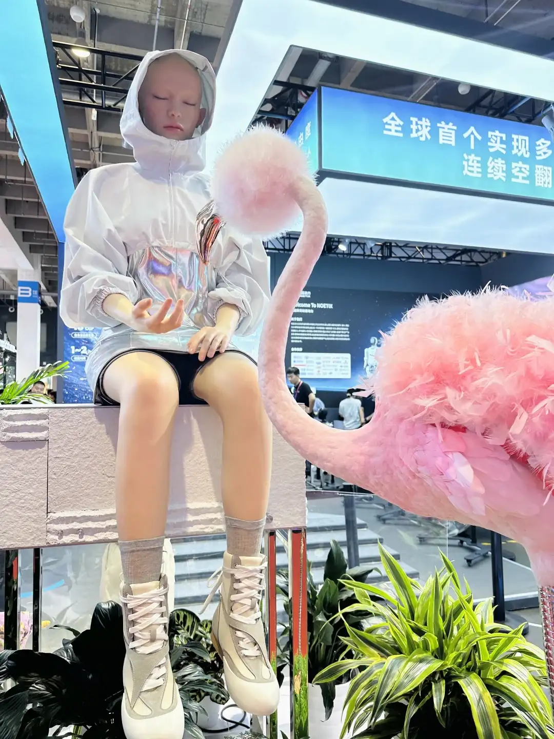 2025世界机器人大会，看这篇就够了❗️