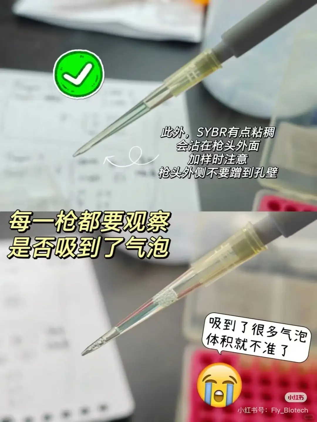 分子生物学第八篇：如何设计荧光定量引物！