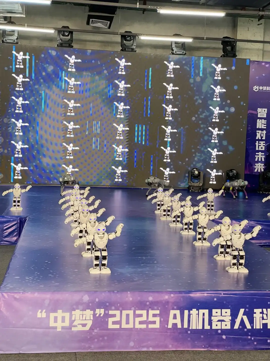 襄阳还是太魔幻了！机器人都会打拳🥊啦！！