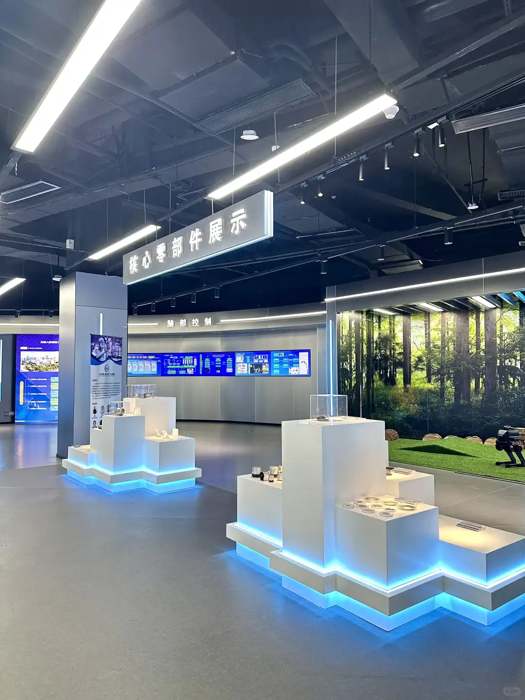 这个机器人场馆也太好玩辣太酷辣！