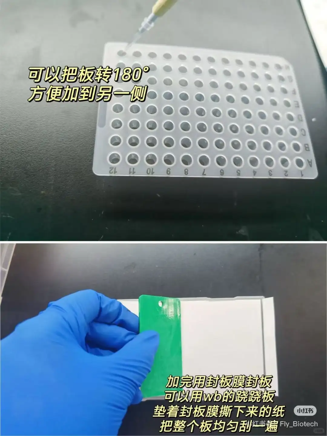 分子生物学第八篇：如何设计荧光定量引物！