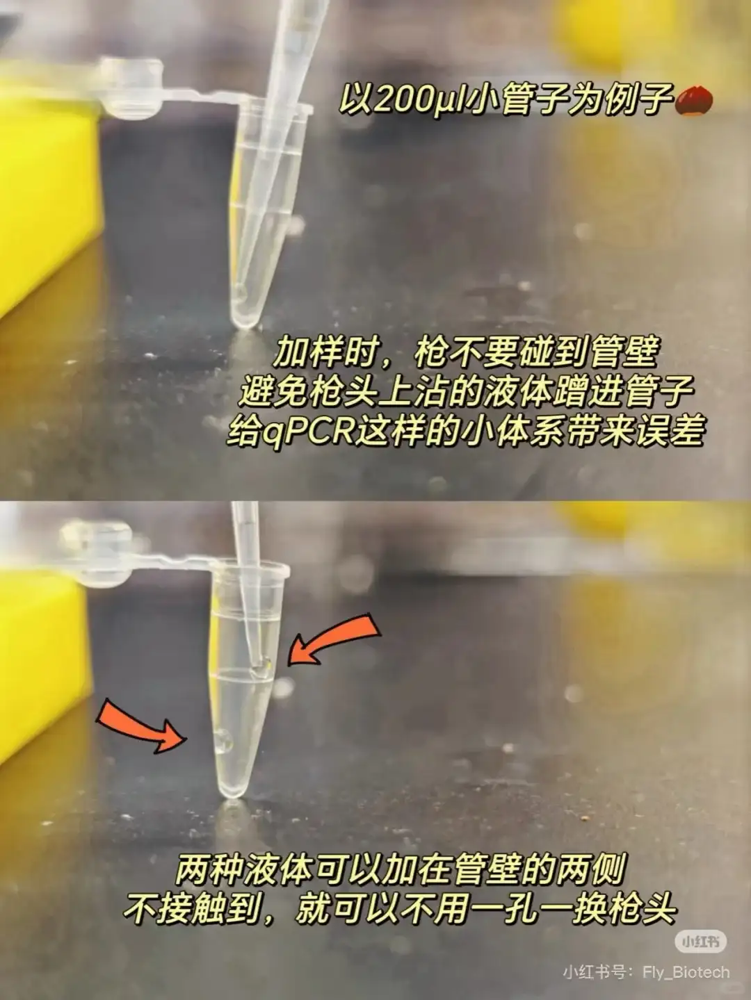 分子生物学第八篇：如何设计荧光定量引物！