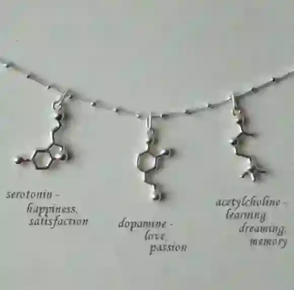 我们需要多巴胺，但知识分子不需要首饰