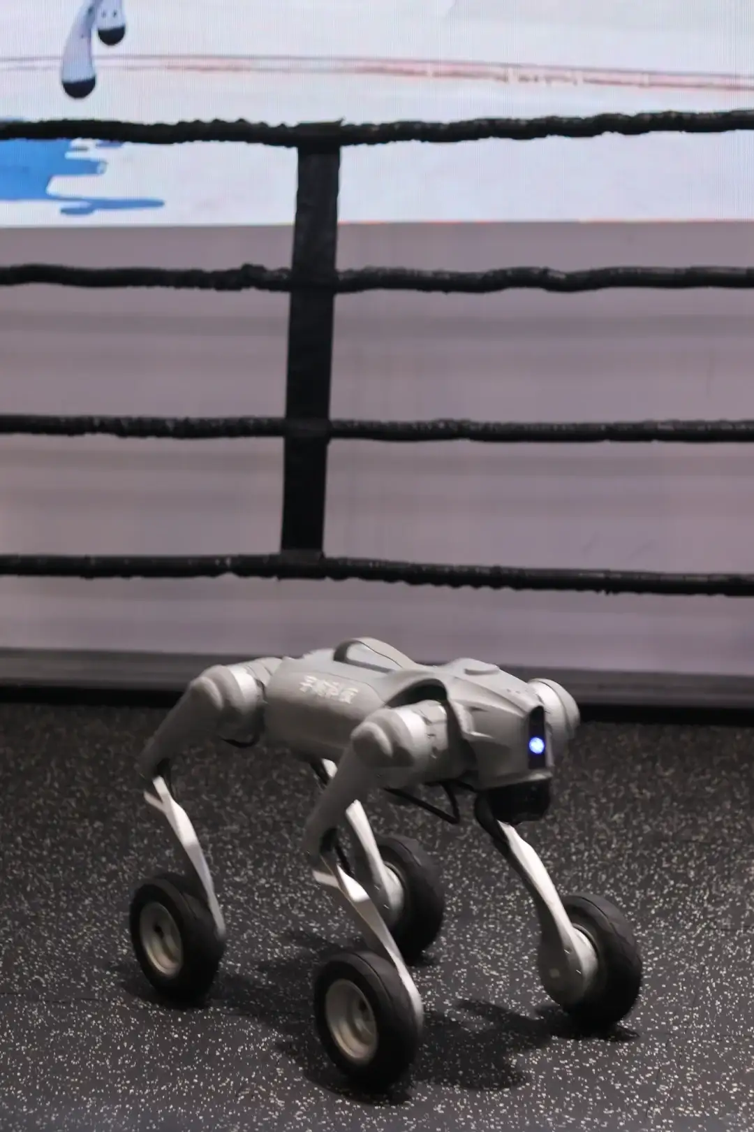 这个展会的机器人太可爱了！