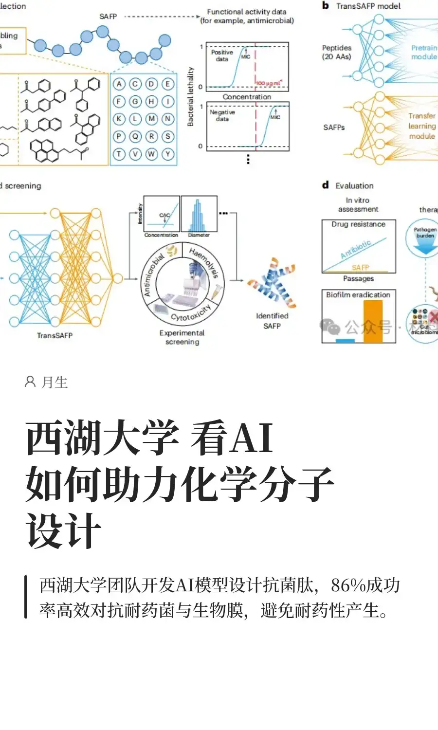 西湖大学 看AI如何助力化学分子设计