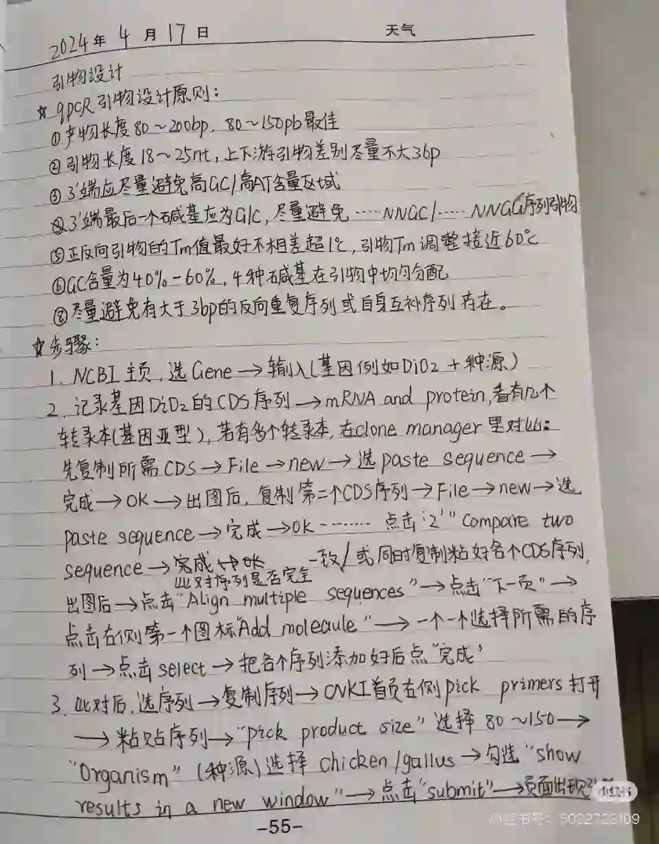 分子生物学第八篇：如何设计荧光定量引物！