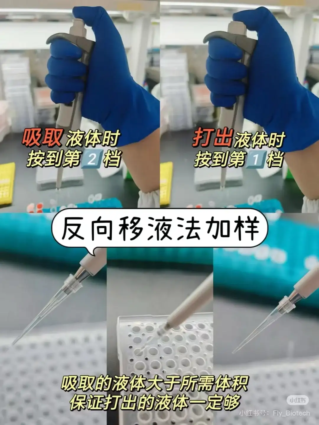 分子生物学第八篇：如何设计荧光定量引物！