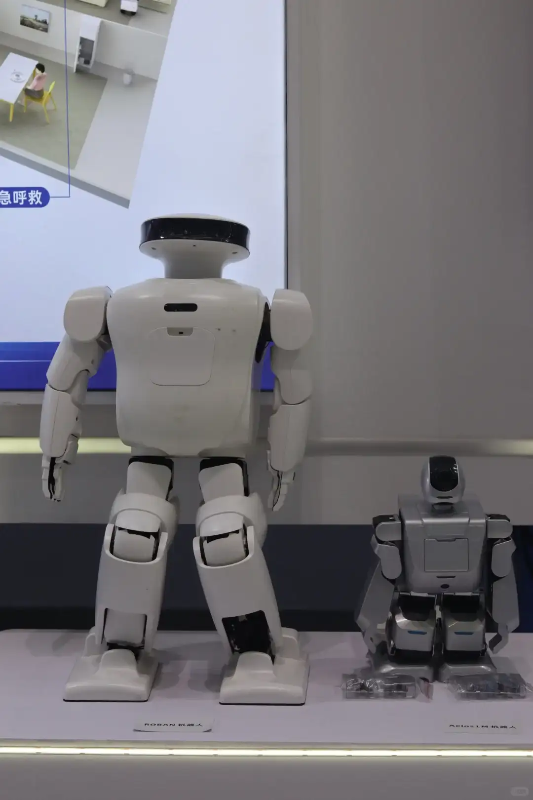 这个展会的机器人太可爱了！