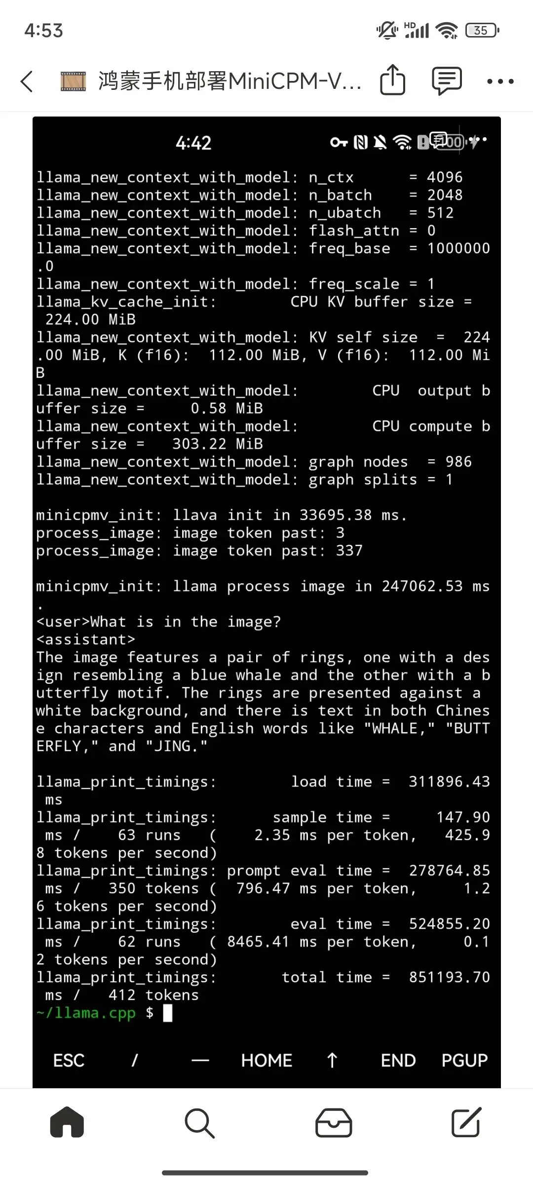 手机跑端侧大模型？